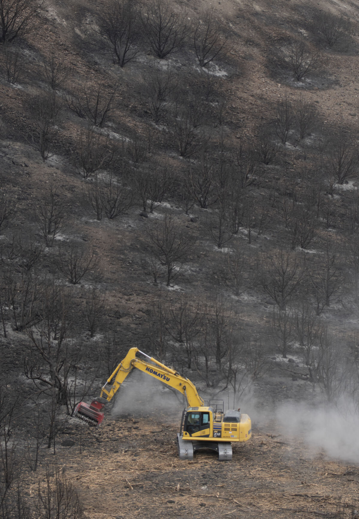 Restoration continues after South Hills Badger Fire